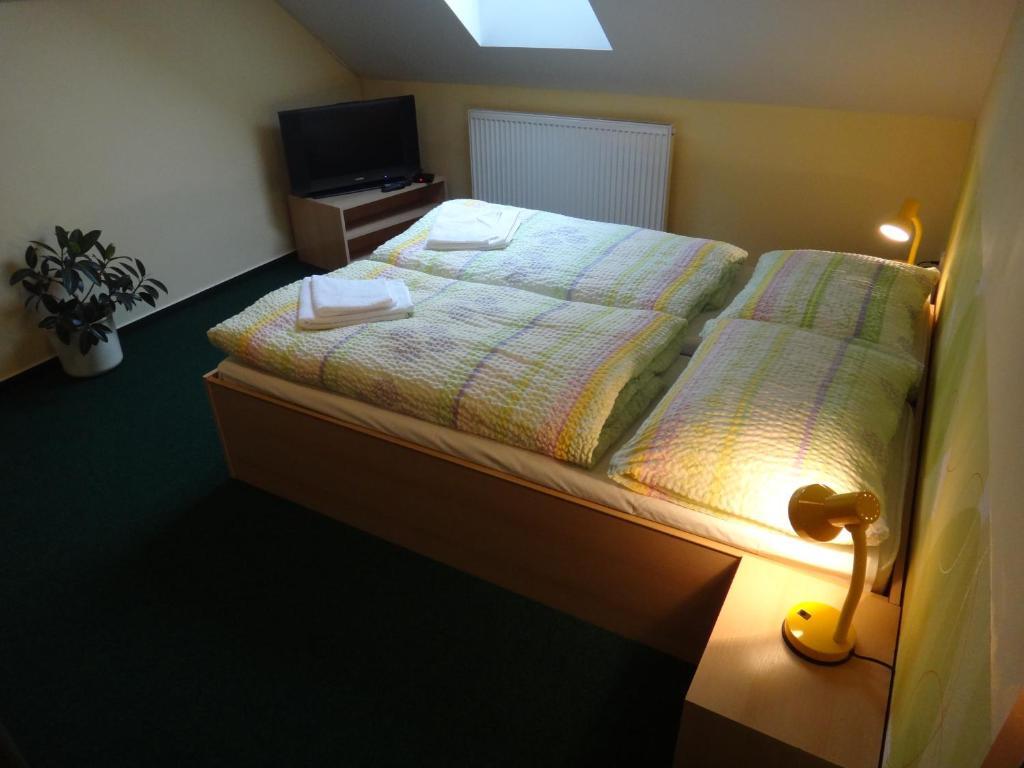 Penzion U Bednaru Pavlov Room photo
